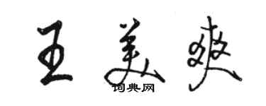 骆恒光王美爽行书个性签名怎么写