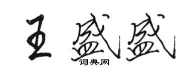 骆恒光王盛盛行书个性签名怎么写
