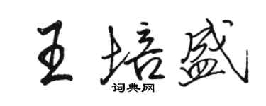 骆恒光王培盛行书个性签名怎么写