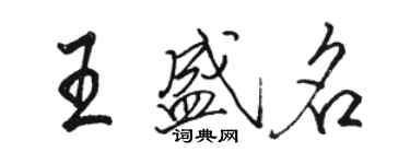 骆恒光王盛名行书个性签名怎么写