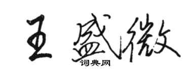 骆恒光王盛微行书个性签名怎么写