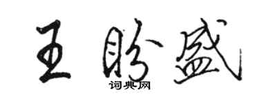 骆恒光王盼盛行书个性签名怎么写