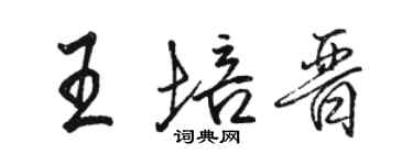 骆恒光王培晋行书个性签名怎么写