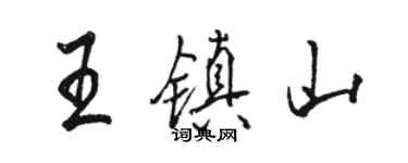 骆恒光王镇山行书个性签名怎么写