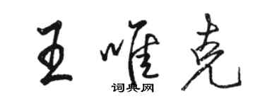 骆恒光王唯克行书个性签名怎么写