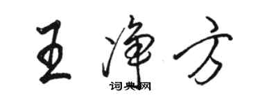 骆恒光王净方行书个性签名怎么写