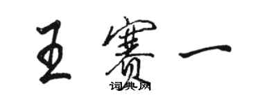 骆恒光王赛一行书个性签名怎么写