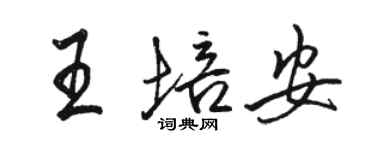 骆恒光王培安行书个性签名怎么写