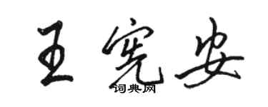 骆恒光王宪安行书个性签名怎么写