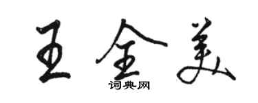 骆恒光王全美行书个性签名怎么写