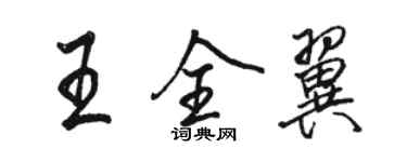骆恒光王全翼行书个性签名怎么写