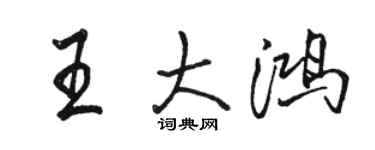 骆恒光王大鸿行书个性签名怎么写