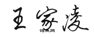 骆恒光王家凌行书个性签名怎么写