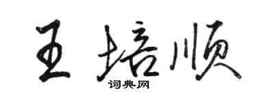 骆恒光王培顺行书个性签名怎么写
