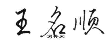 骆恒光王名顺行书个性签名怎么写