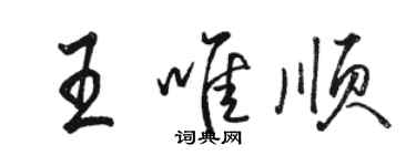 骆恒光王唯顺行书个性签名怎么写