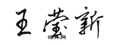 骆恒光王莹新行书个性签名怎么写