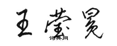 骆恒光王莹冕行书个性签名怎么写
