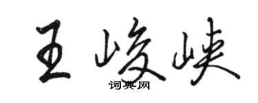 骆恒光王峻峡行书个性签名怎么写