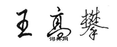 骆恒光王高攀行书个性签名怎么写