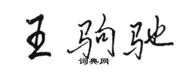 骆恒光王驹驰行书个性签名怎么写