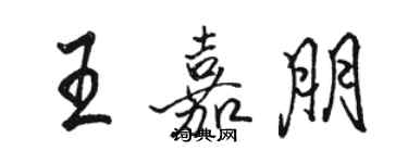 骆恒光王嘉朋行书个性签名怎么写