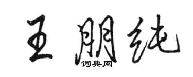 骆恒光王朋纯行书个性签名怎么写