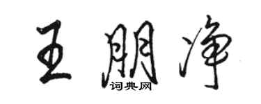 骆恒光王朋净行书个性签名怎么写