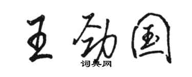 骆恒光王劲国行书个性签名怎么写