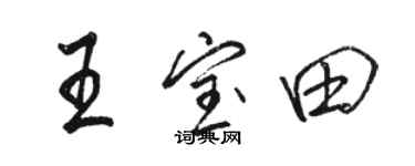 骆恒光王宝田行书个性签名怎么写