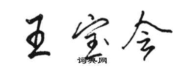 骆恒光王宝会行书个性签名怎么写