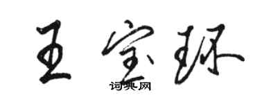 骆恒光王宝环行书个性签名怎么写