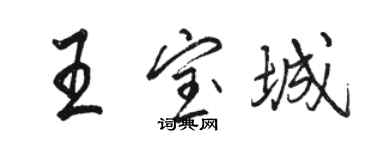 骆恒光王宝城行书个性签名怎么写