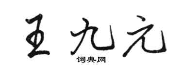 骆恒光王九元行书个性签名怎么写
