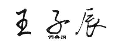 骆恒光王子辰行书个性签名怎么写