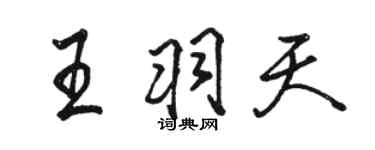 骆恒光王羽天行书个性签名怎么写
