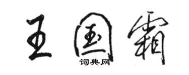 骆恒光王国霜行书个性签名怎么写