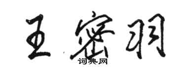骆恒光王密羽行书个性签名怎么写