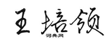 骆恒光王培领行书个性签名怎么写