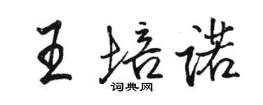 骆恒光王培诺行书个性签名怎么写