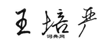 骆恒光王培严行书个性签名怎么写