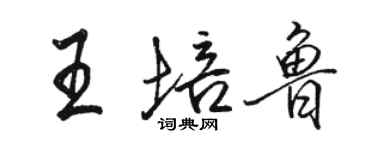 骆恒光王培鲁行书个性签名怎么写