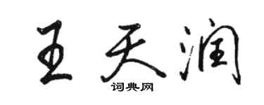 骆恒光王天润行书个性签名怎么写