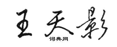 骆恒光王天影行书个性签名怎么写