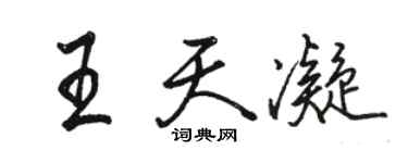 骆恒光王天凝行书个性签名怎么写