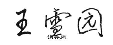 骆恒光王雪园行书个性签名怎么写