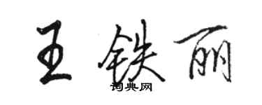 骆恒光王铁丽行书个性签名怎么写