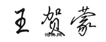 骆恒光王贺蒙行书个性签名怎么写