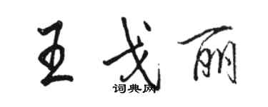骆恒光王戈丽行书个性签名怎么写