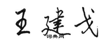 骆恒光王建戈行书个性签名怎么写